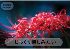 一般特集　じっくり楽しみたい