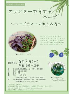 プランターでハーブ