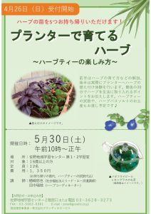 プランターで育てるハーブ