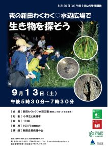 水辺広場で生き物を探そう